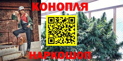 индика Пушкино