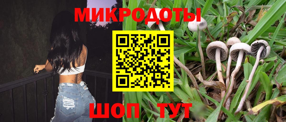 Псилоцибиновые грибы Psilocybine cubensis  Вход с VPN  наркошоп  Трёхгорный 
